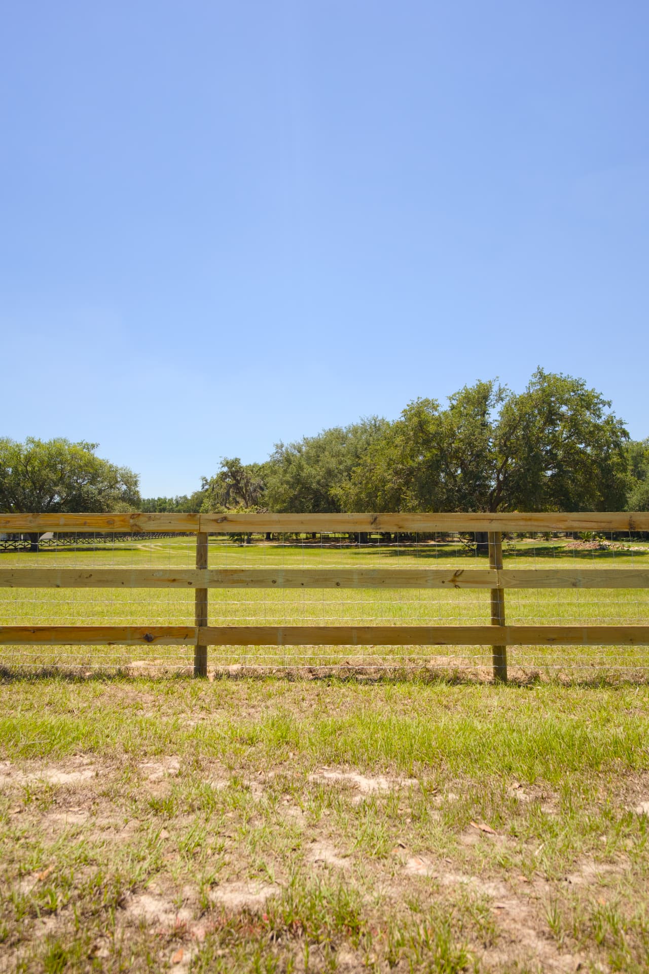 New wood ranch rail fence with wire mesh in Central Florida